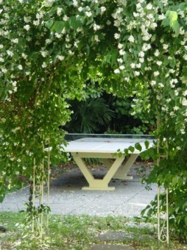 Hotel Luna Garni